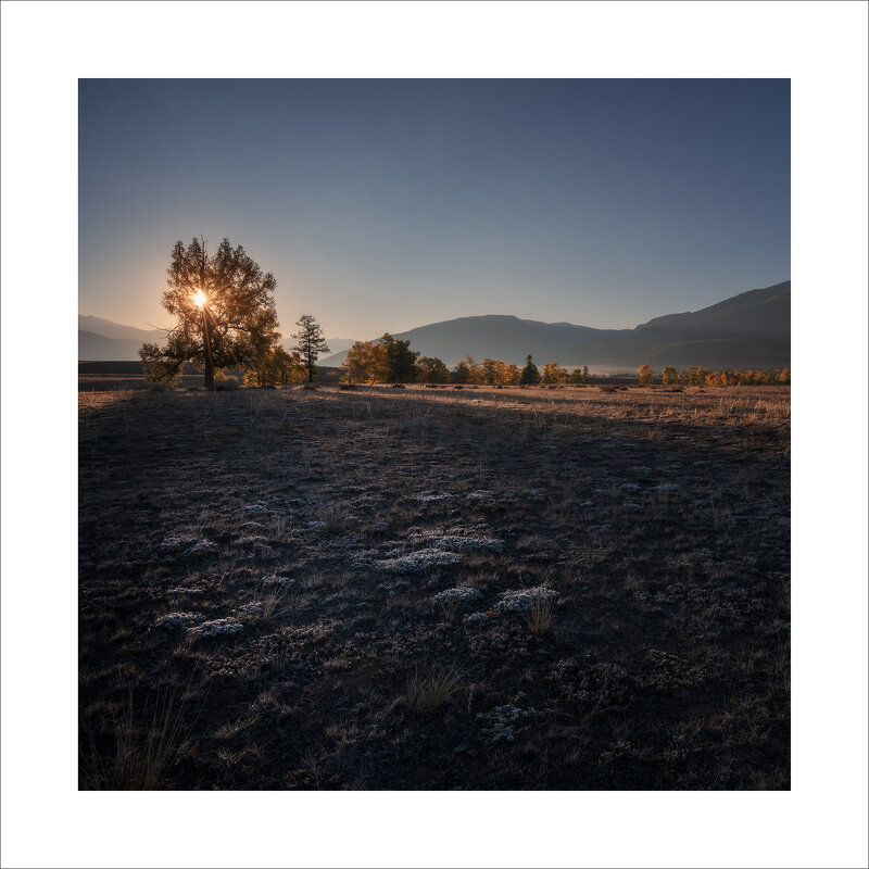 * - Александр Иванов