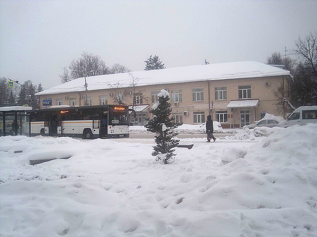 Мой зимний город - Елена Семигина