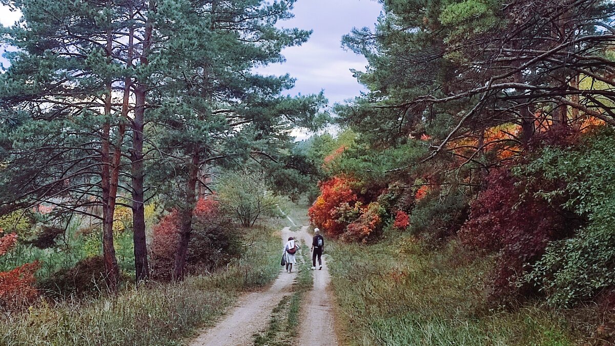 Соединение с осенней природой - Мариша Соединение с осенней природой - Мариша