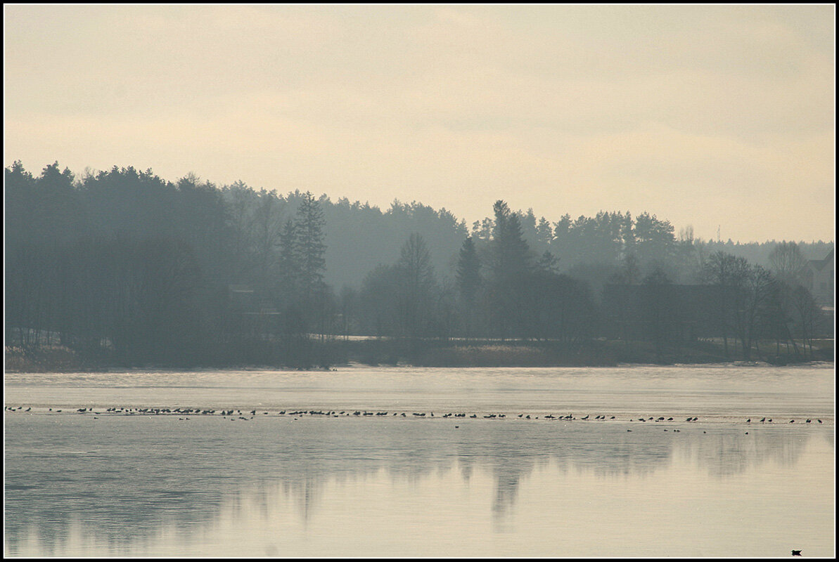 *** - Aleksandr Gal *** - Aleksandr Gal