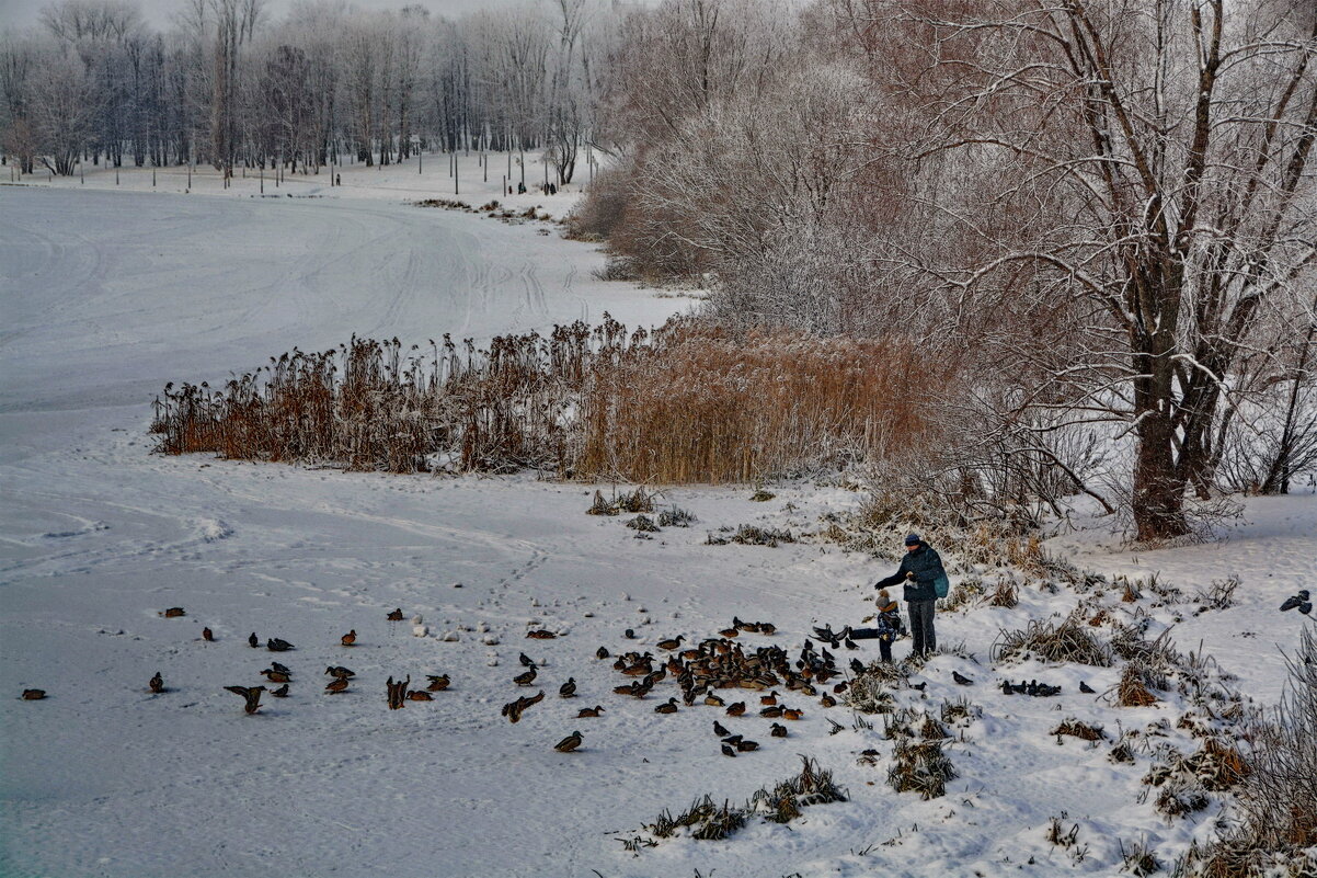 ... - Анастасия Смирнова ... - Анастасия Смирнова