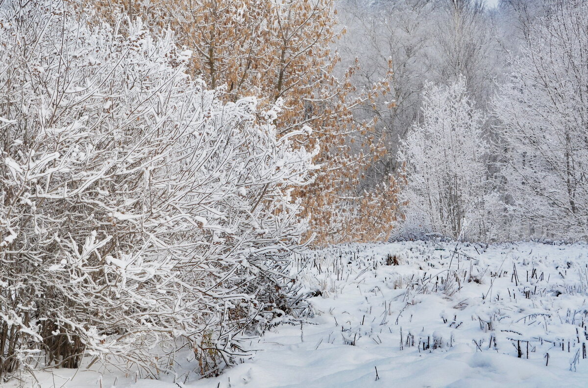 ... - Анастасия Смирнова ... - Анастасия Смирнова