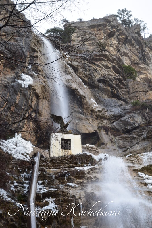 Природа Крыма - Amazing Cosmea