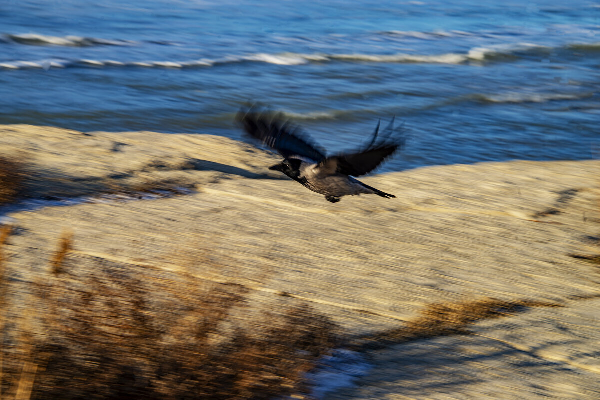В полёте - Анатолий Чикчирный