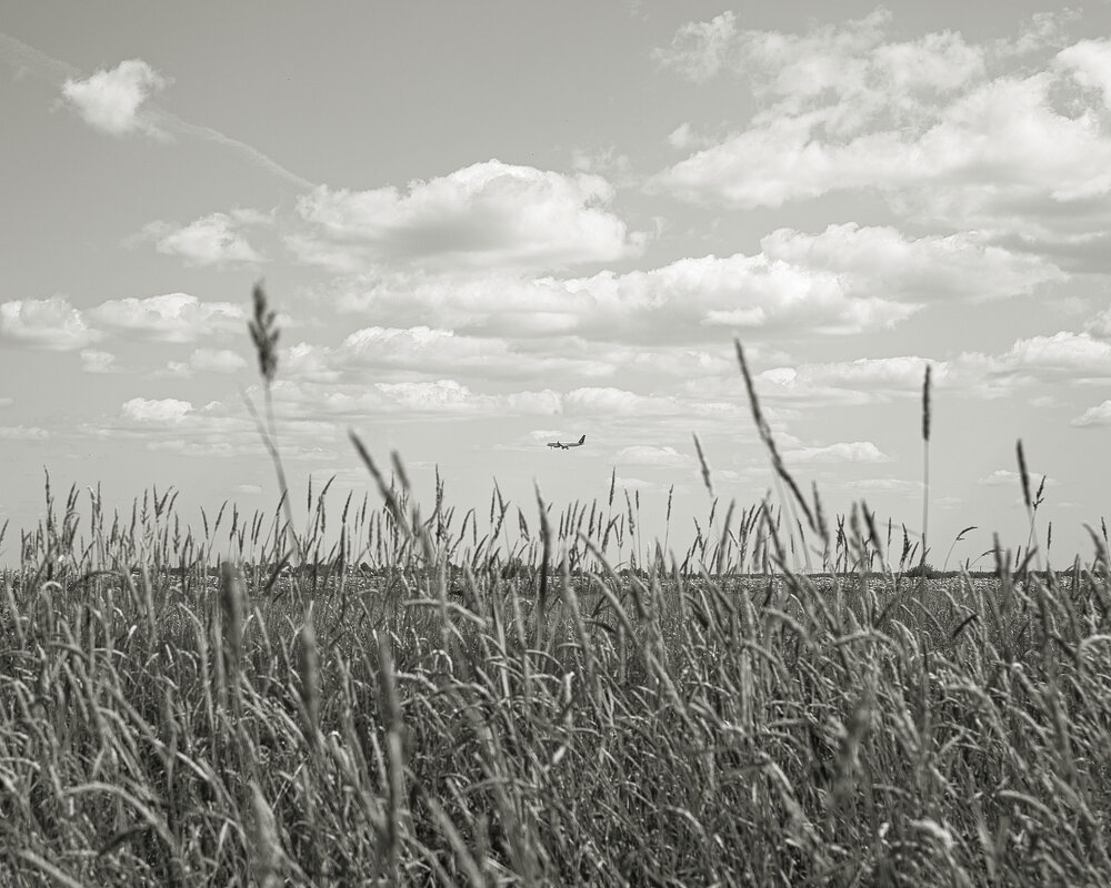 Фотография - Денис Безногов