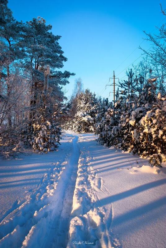 *** - Игорь Чичиль