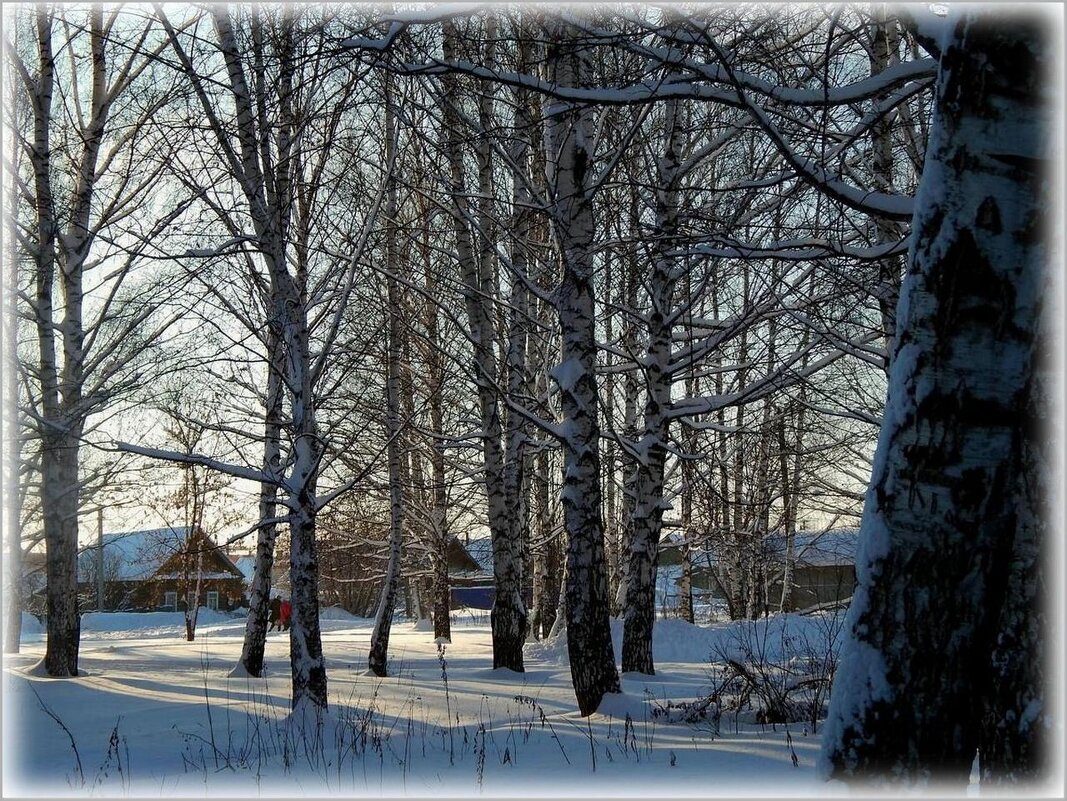 Зимняя зарисовка ... - Валентина Надсон