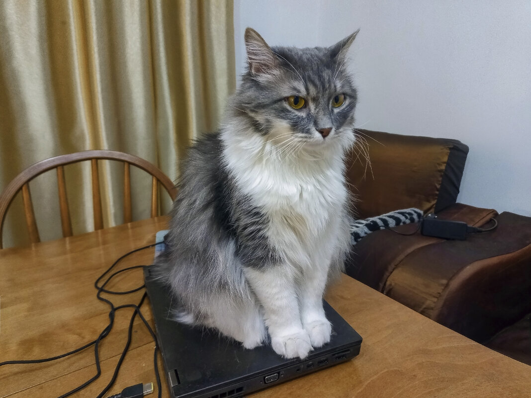 "Надёжней любого замка" . - LudMila "Надёжней любого замка" . - LudMila