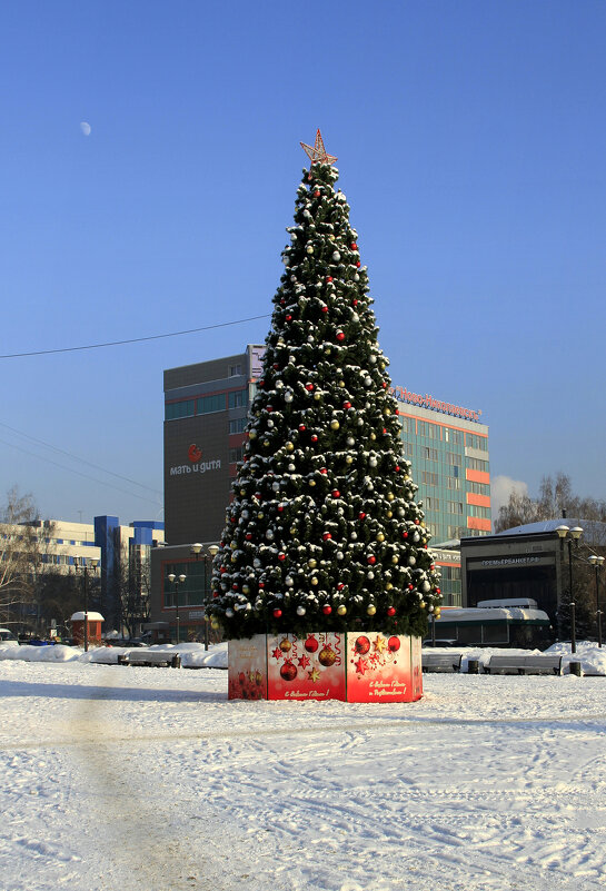 Мороз и солнце - Vlad Сергиевич Мороз и солнце - Vlad Сергиевич