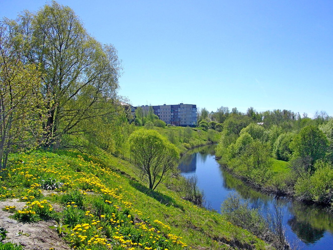 Чудово, река Кересть. - Лия ☼
