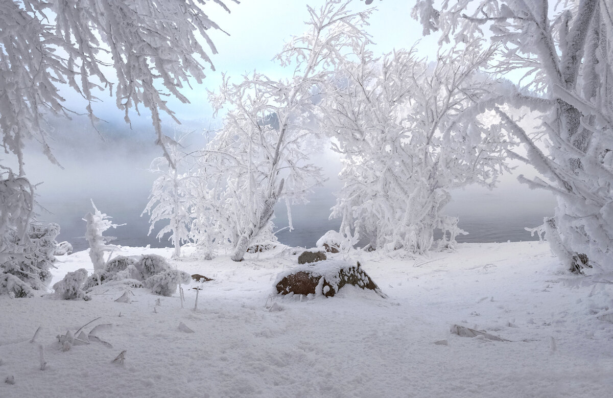 Зимний лес - Марина Фомина.