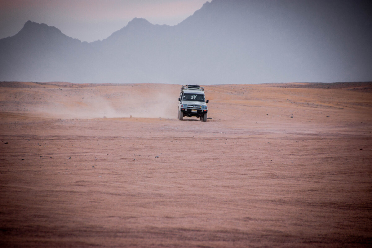 Ралли - Максим 