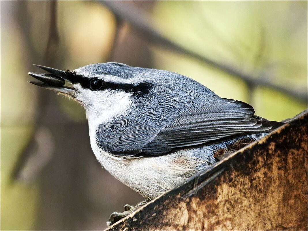 Подарок - Валентина *
