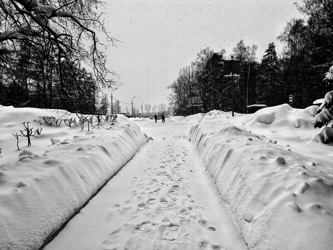 ***** - Алексей Архипов