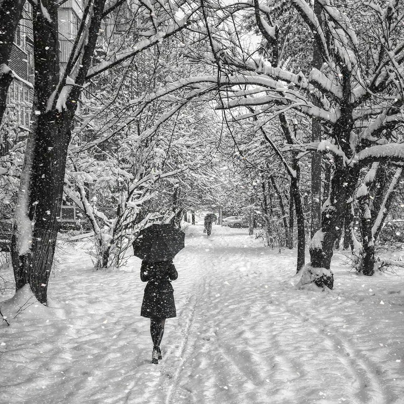 Cнегопад - Юрий Лев Cнегопад - Юрий Лев