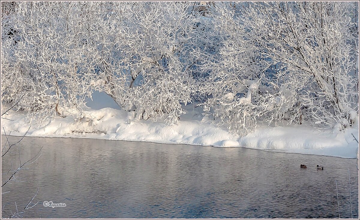 Морозный денёк - Aquarius - Сергей
