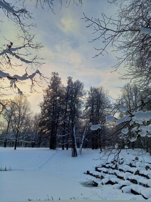 Рассвет - Сапсан 