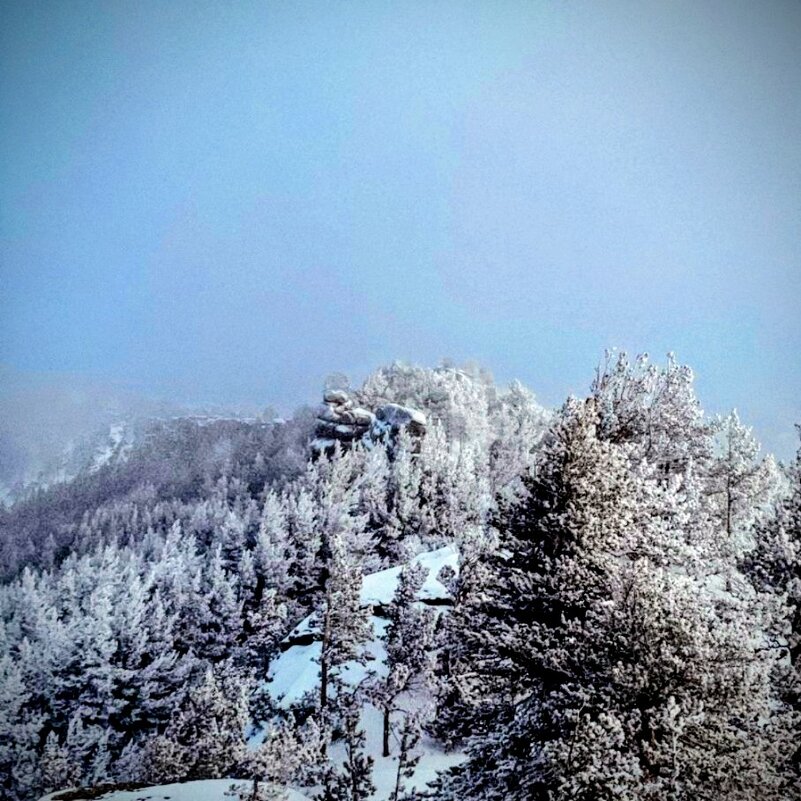 Зима в горах - Георгиевич 