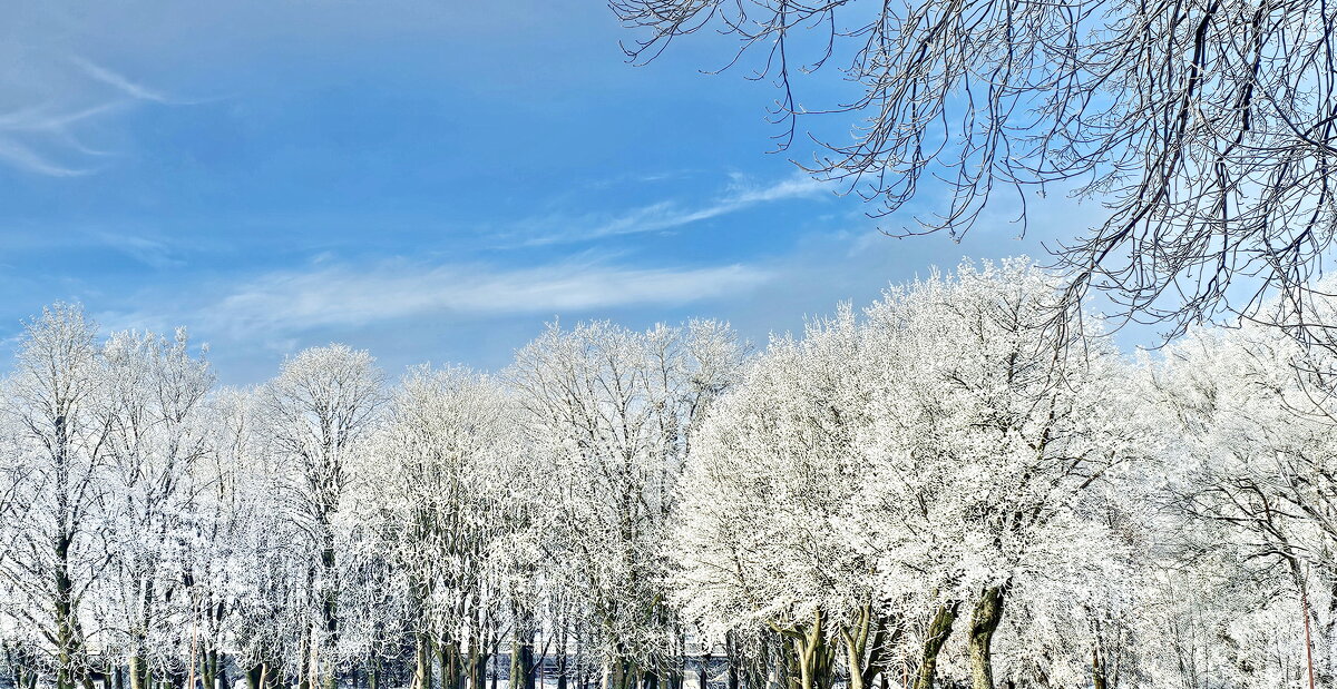 Зима в Калининграде - Михаил Свиденцов