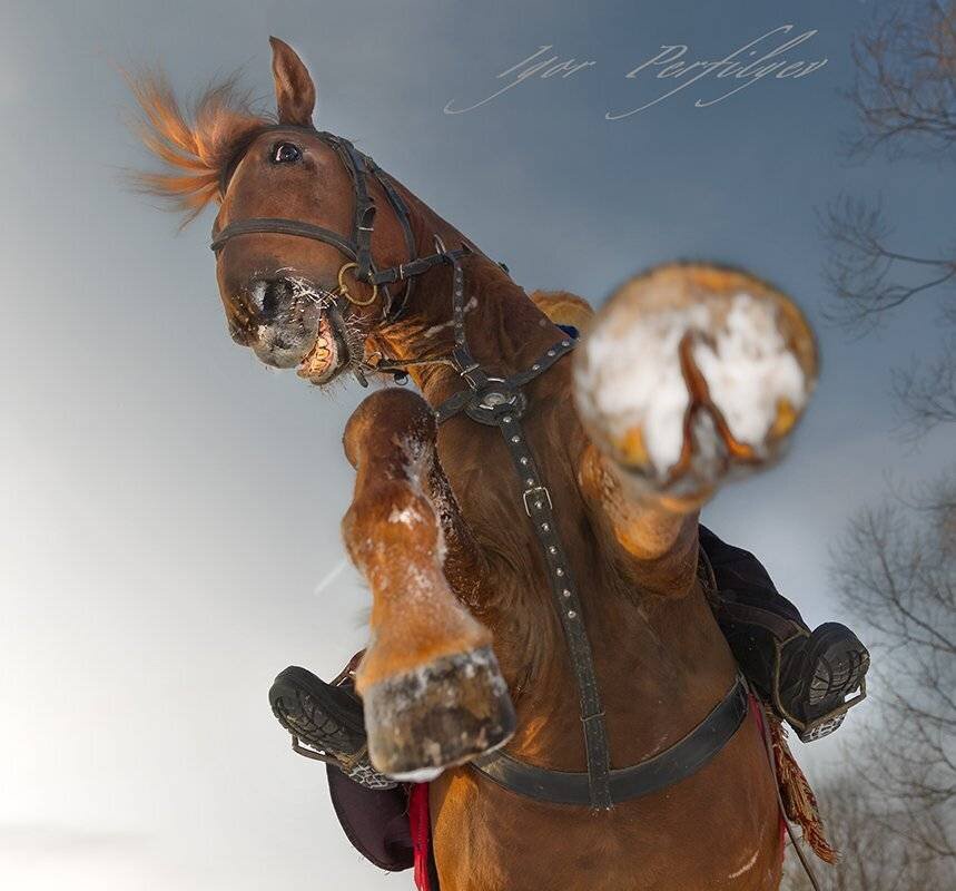 Про страшное. - игорь 