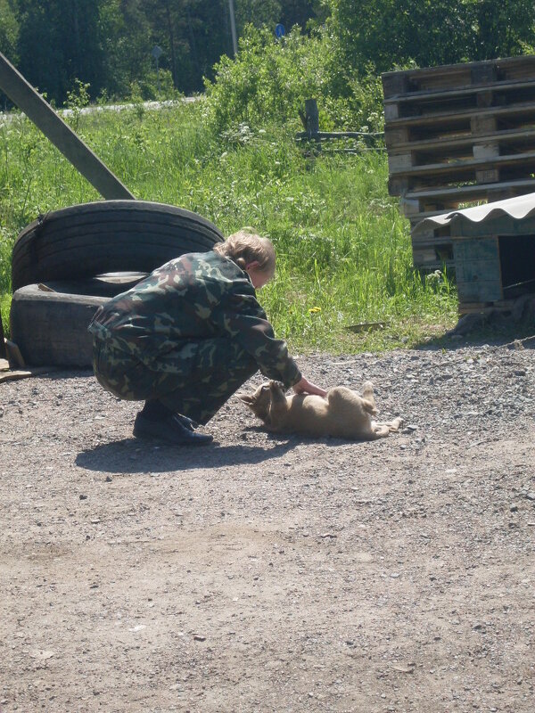 ** - Сергей Кочнев