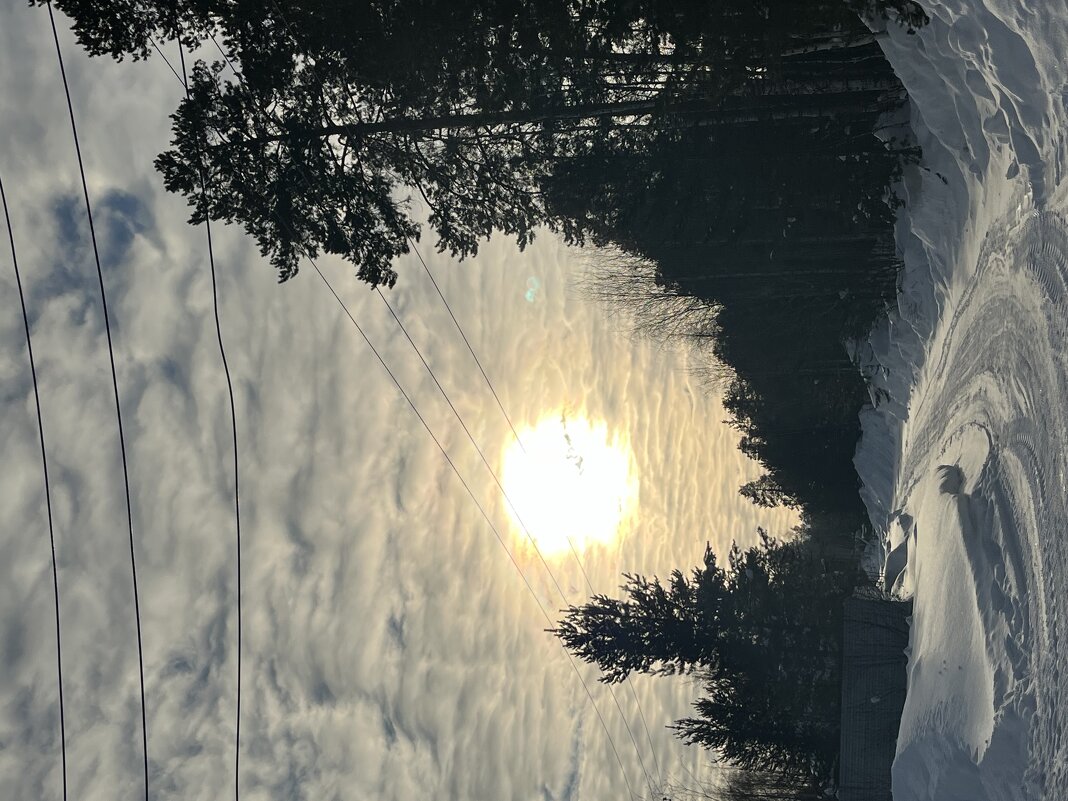 В Простоквашино - Эльвира Белянская