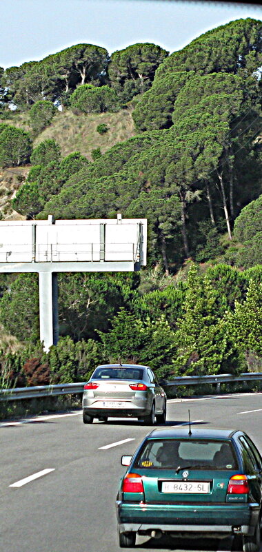 По Франции, на автобусе. - Владимир Драгунский По Франции, на автобусе. - Владимир Драгунский