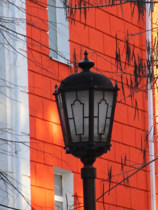 Зарисовка - Елена Шаламова