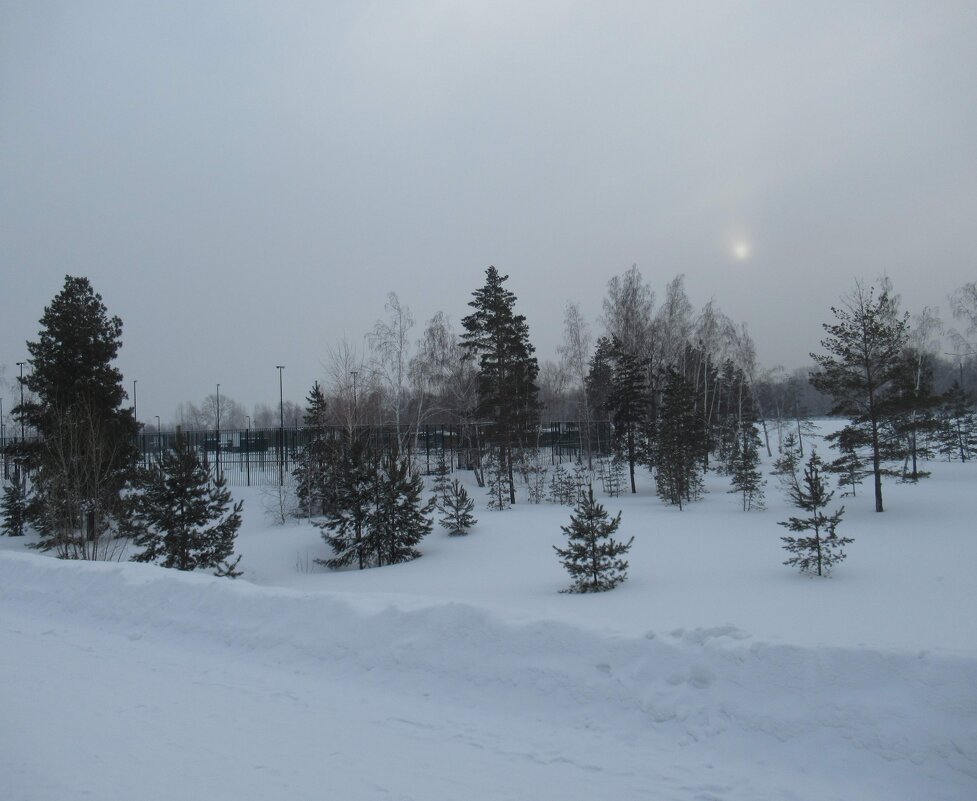 Парк-Арена - Андрей Макурин