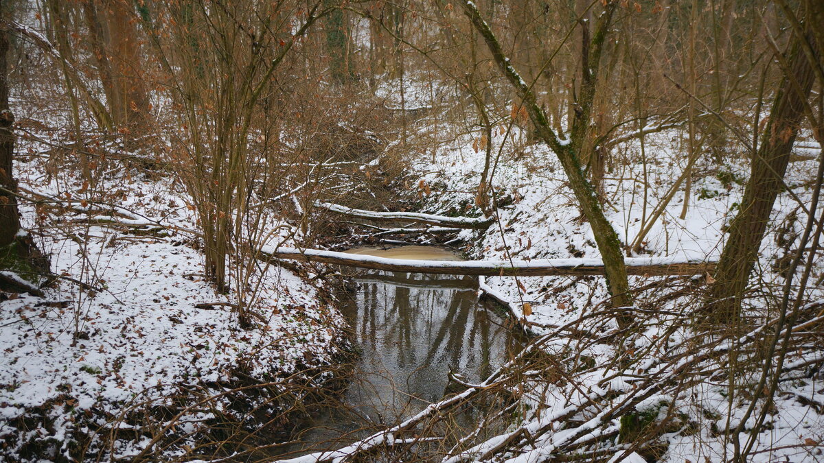 Из Кайлъка ! Плевен. - Вен Гъновски Из Кайлъка ! Плевен. - Вен Гъновски