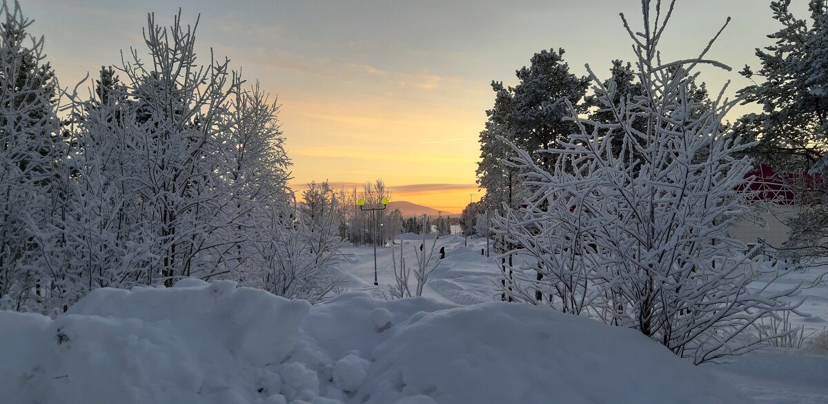 Зимние зори - Ольга Зимние зори - Ольга