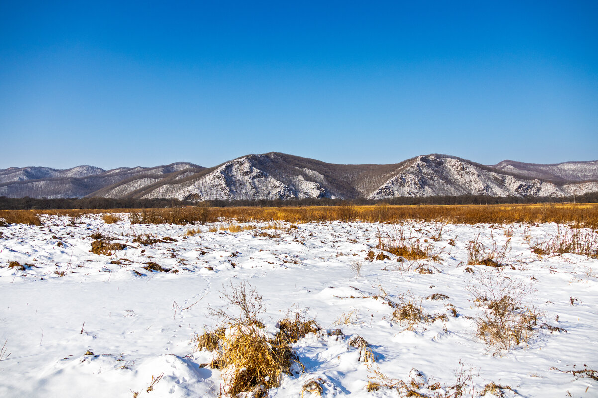 На пути к Штыковским прудам. - Шурф Сьлядек На пути к Штыковским прудам. - Шурф Сьлядек