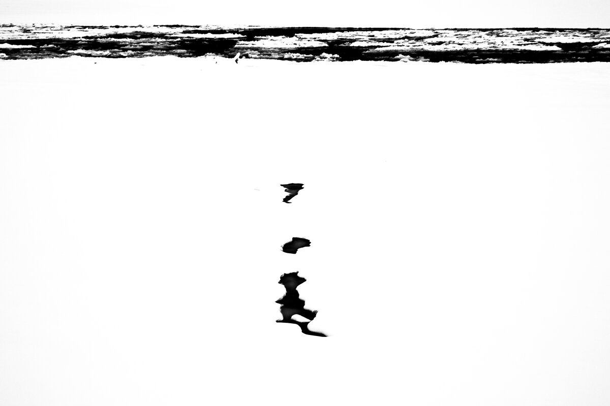 *** - Сергей Полянский