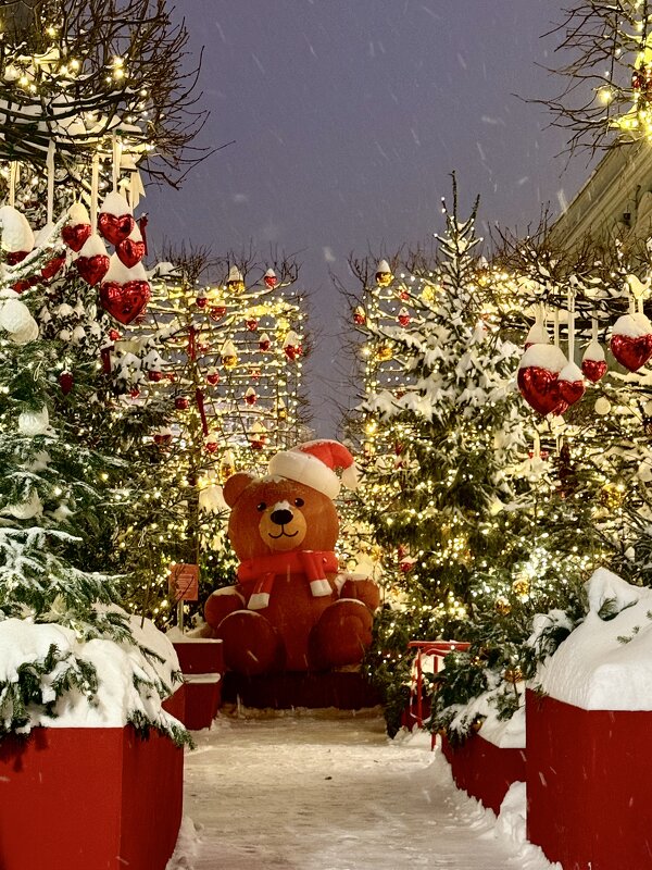 Зимняя сказка 2026 - Iren Brilliance