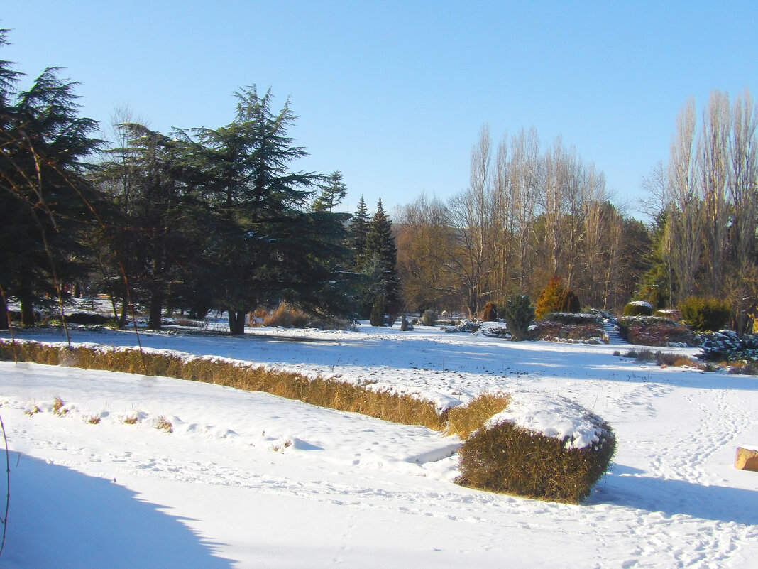 Зимний  пейзаж - Валентин Семчишин