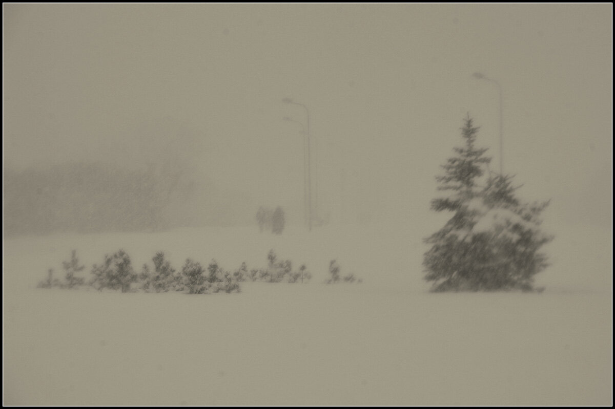 Метель пришла - Aleksandr Gal Метель пришла - Aleksandr Gal