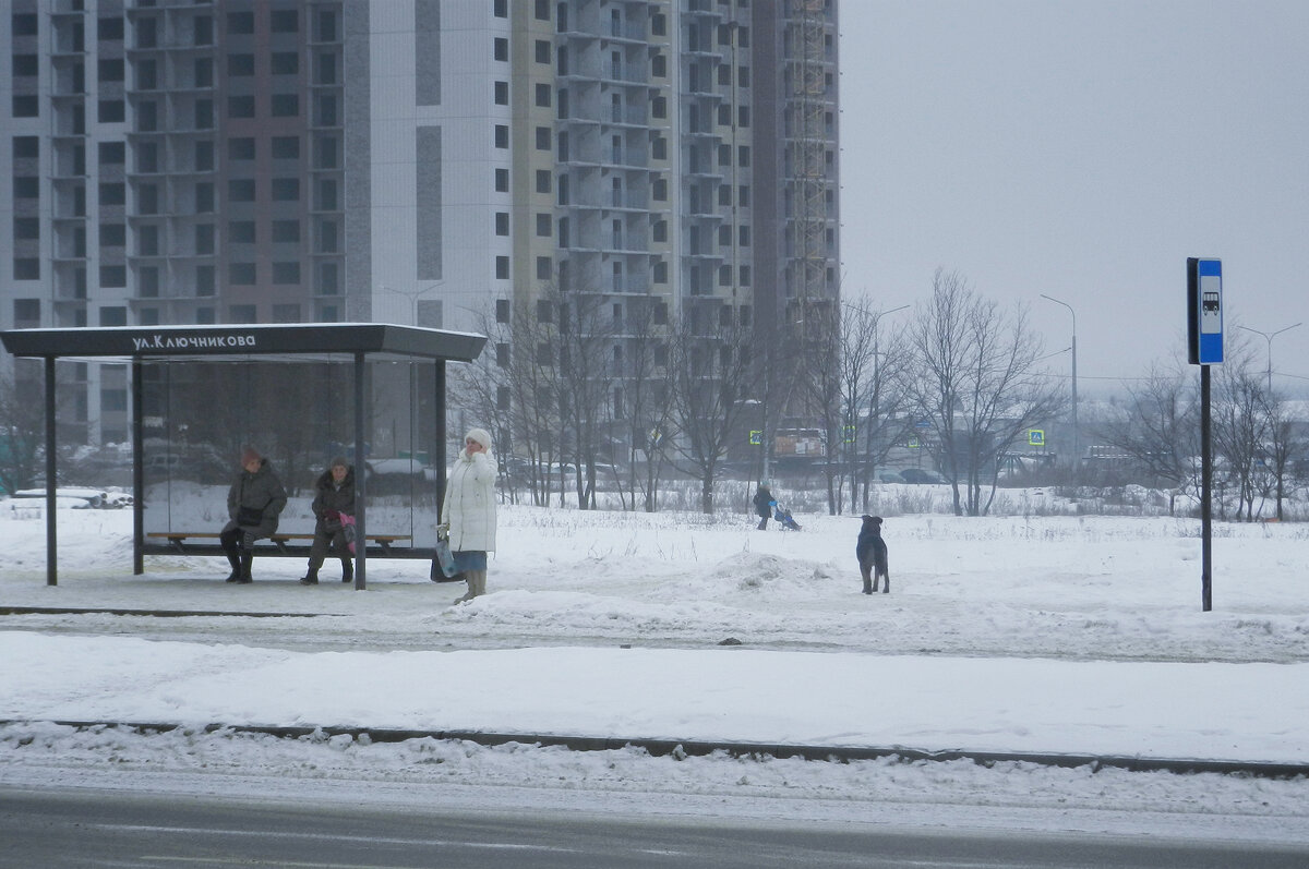 остановка - Лера 