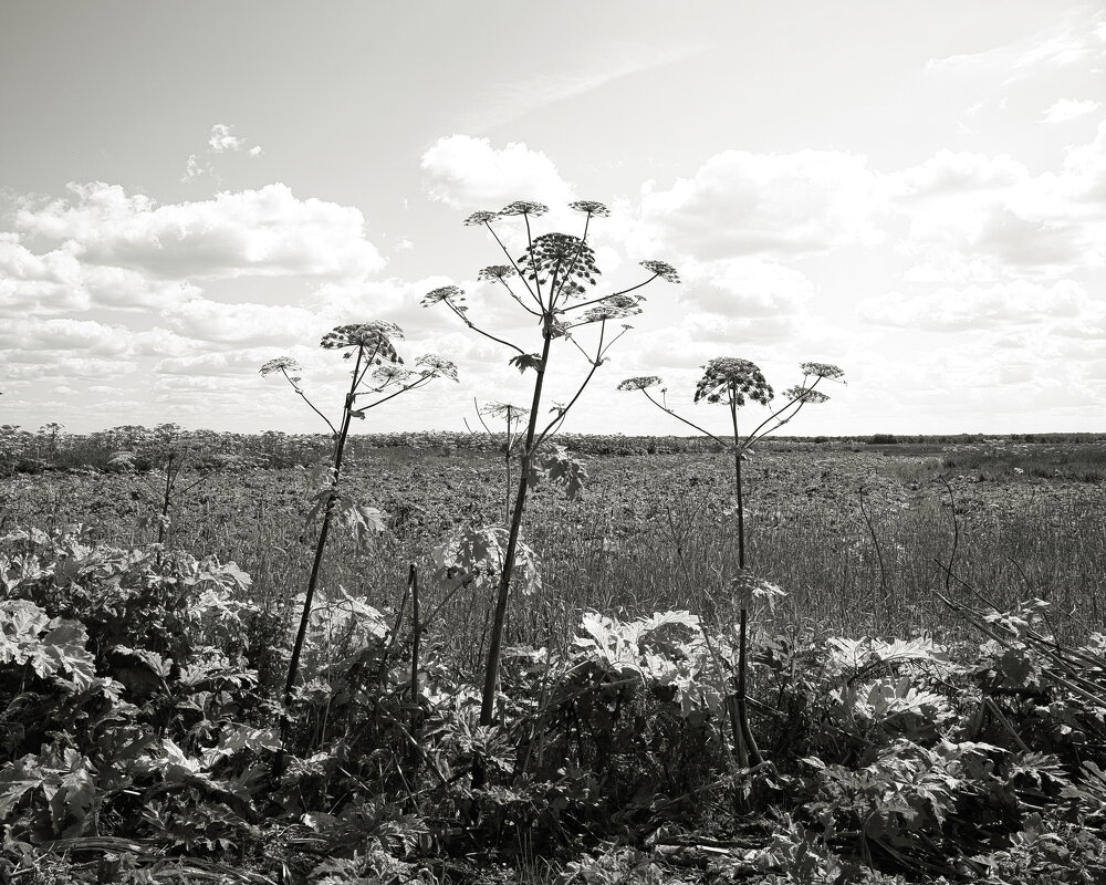 Фотография - Денис Безногов