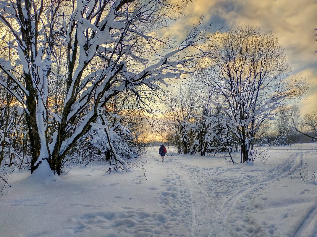 зимний пейзаж - Валентина. .