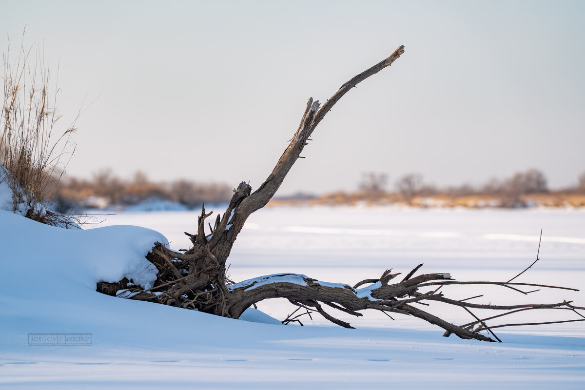 6 - Сергей Флетчер