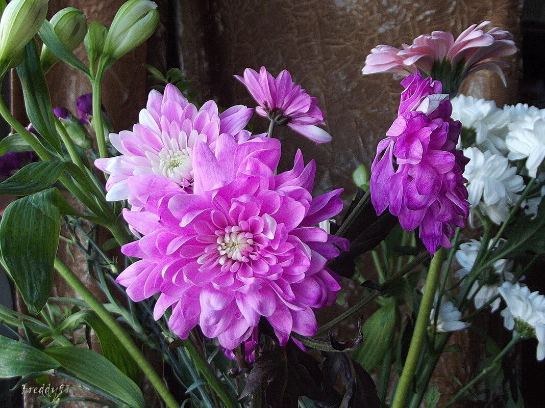 Букет - Freddy 97