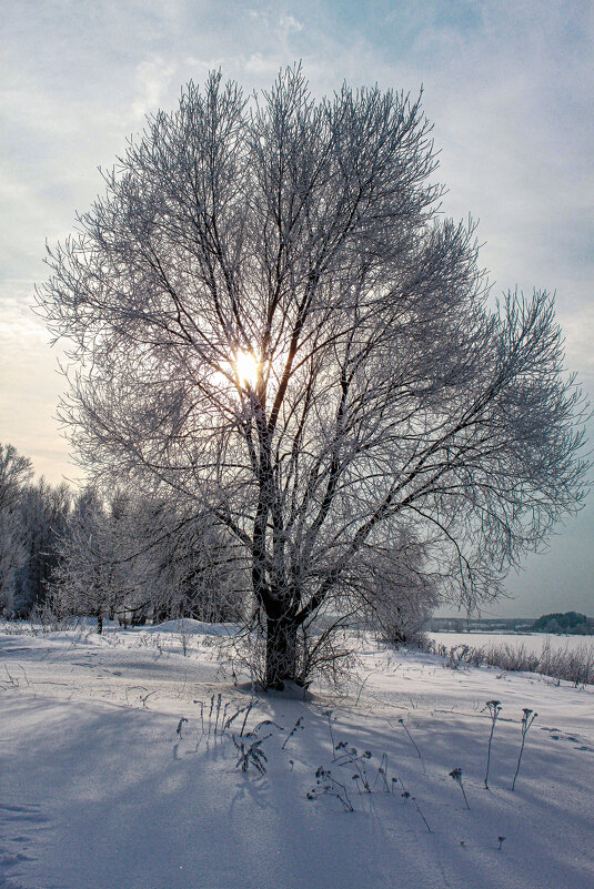 зима - Владимир Зеленцов
