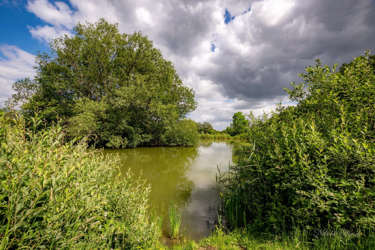 *** - Николай Гирш *** - Николай Гирш