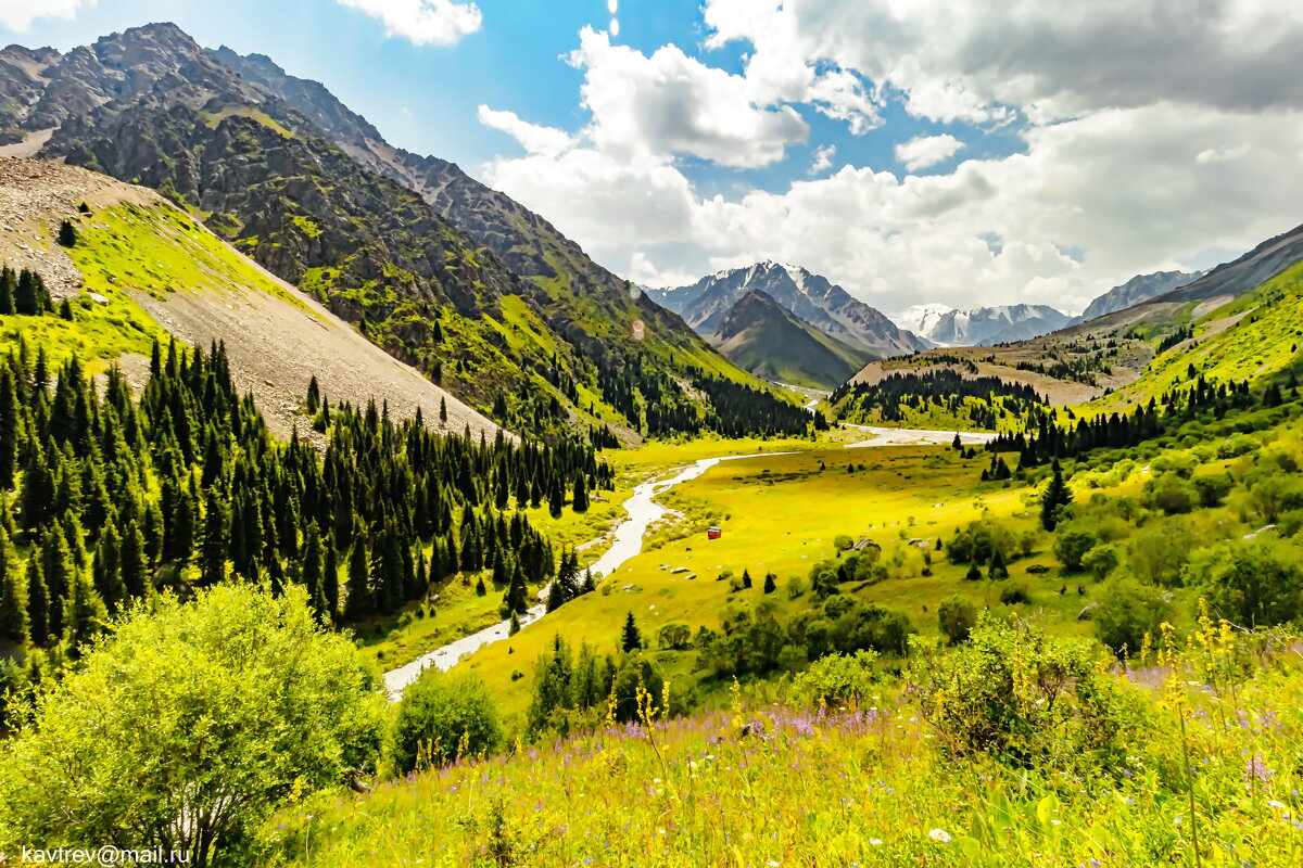 СОЛНЕЧНАЯ ПОЛЯНА - HART BAD