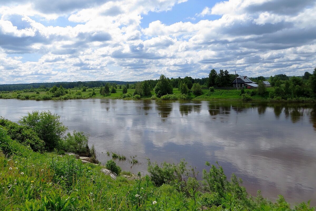 Река Тура - Лариса С. Река Тура - Лариса С.