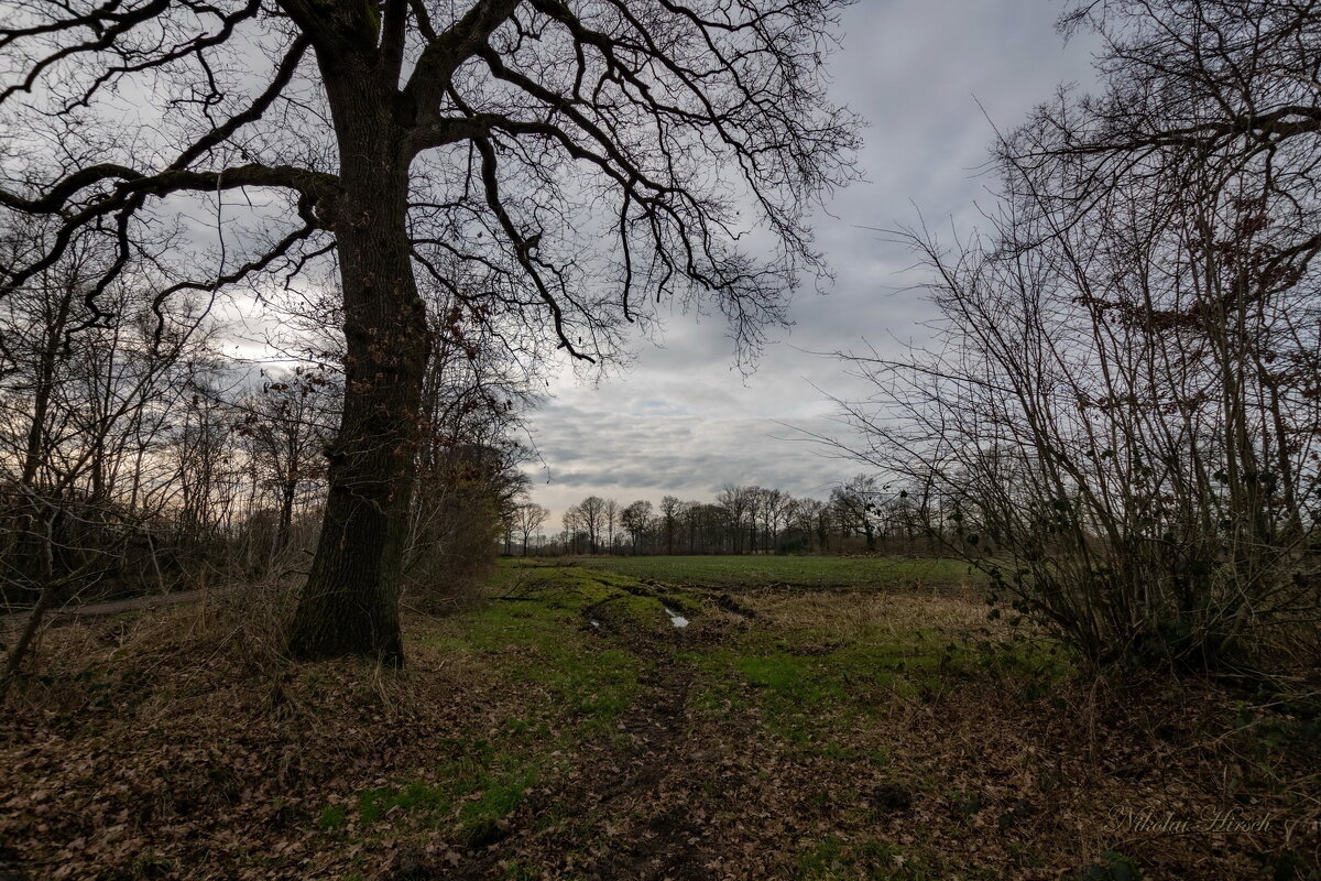 Предвесеннее состояние... - Николай Гирш
