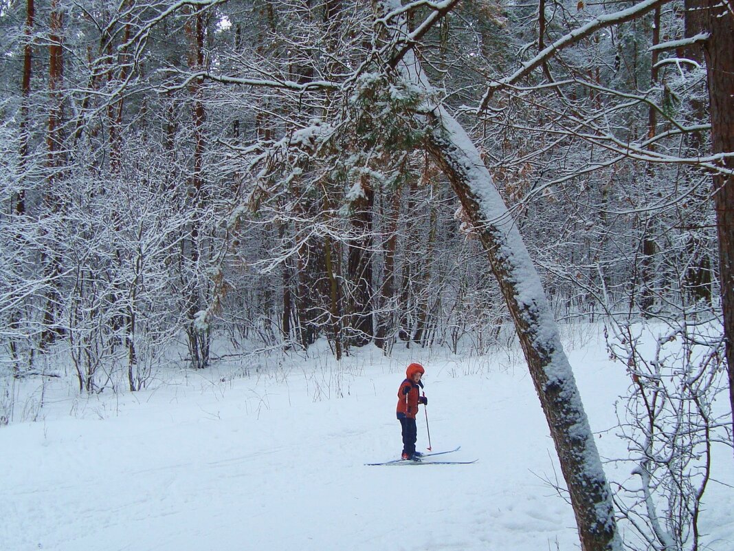 маленький лыжник в большой зиме... - Галина Флора