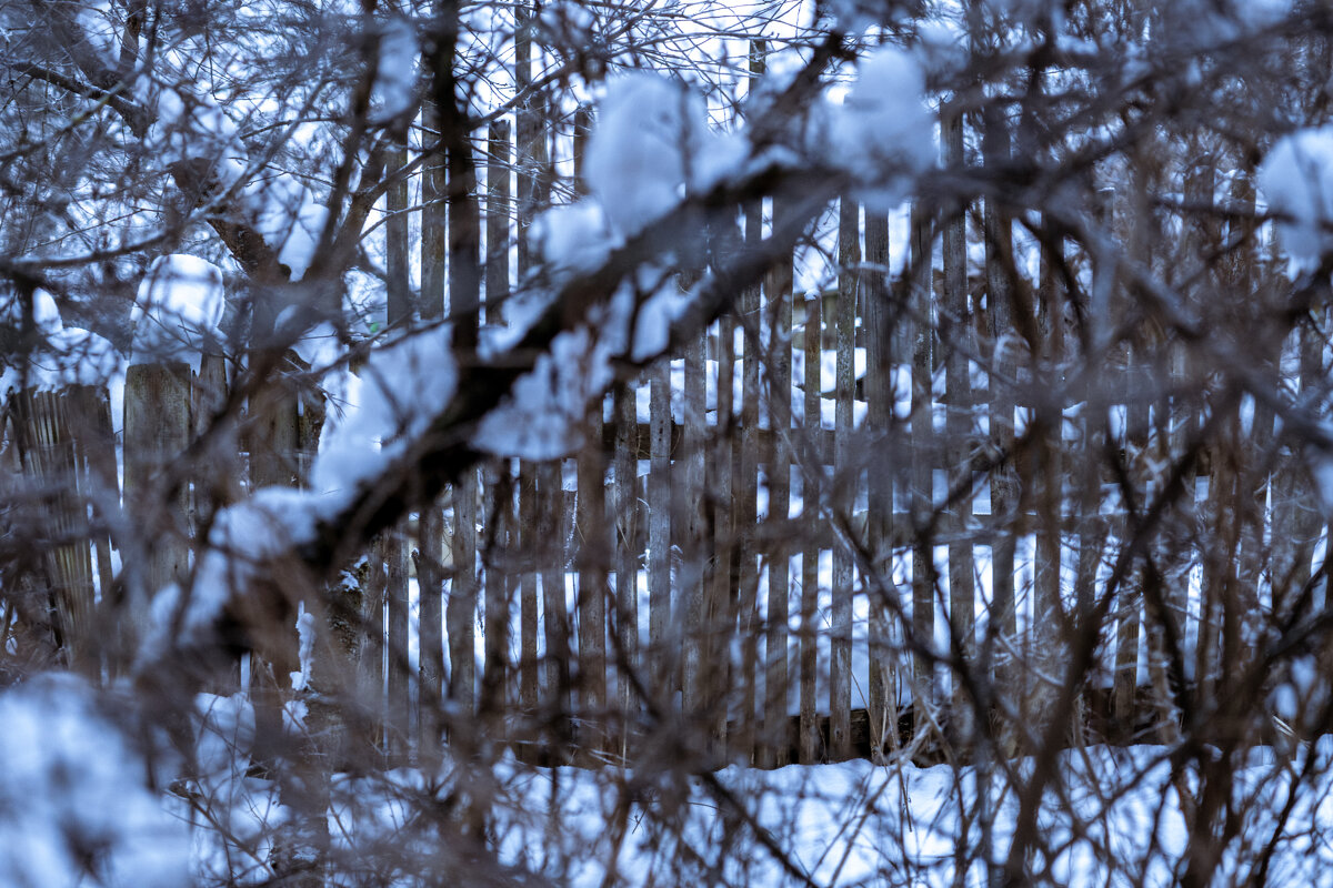 Деревенский забор - Илья Шенгелия