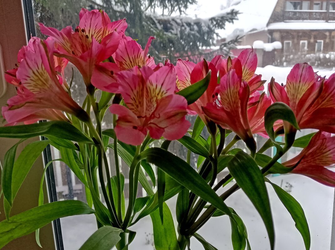 А за окном мороз и снег. - Михаил Попов