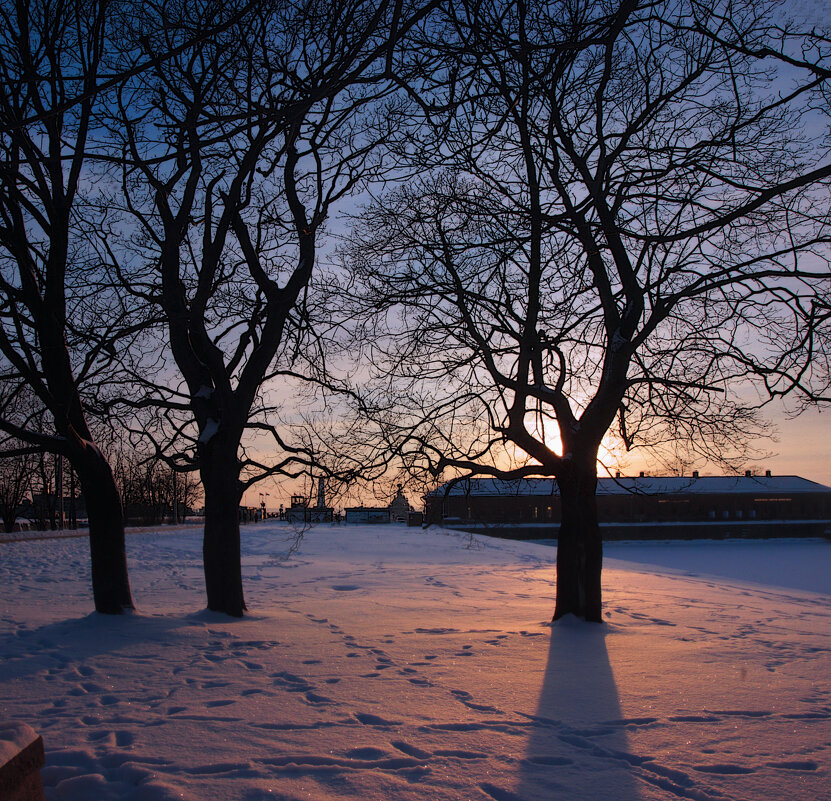 *** - Сергей Григорьев